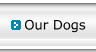Our Dogs